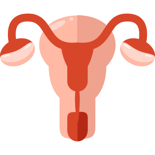 uterus Home